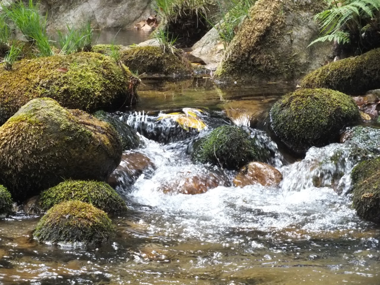 03 rio-bajando-el-agua-entre-rocas-primavera (BYR)